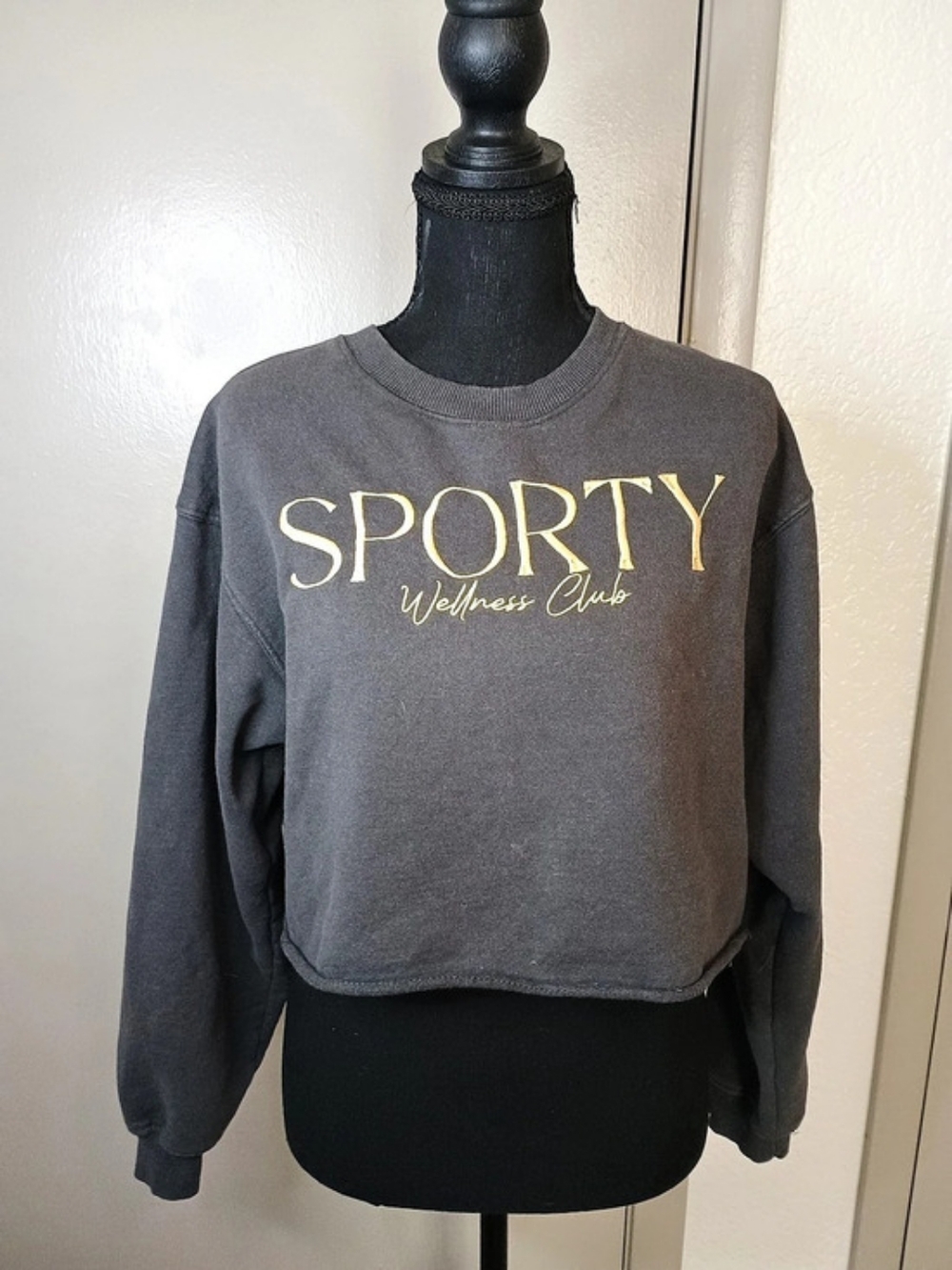 Recycled Threads Sporty Wellness Club Cropped Sweatshirt Gray Small